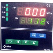 PS20L-35MPa压力温度仪表