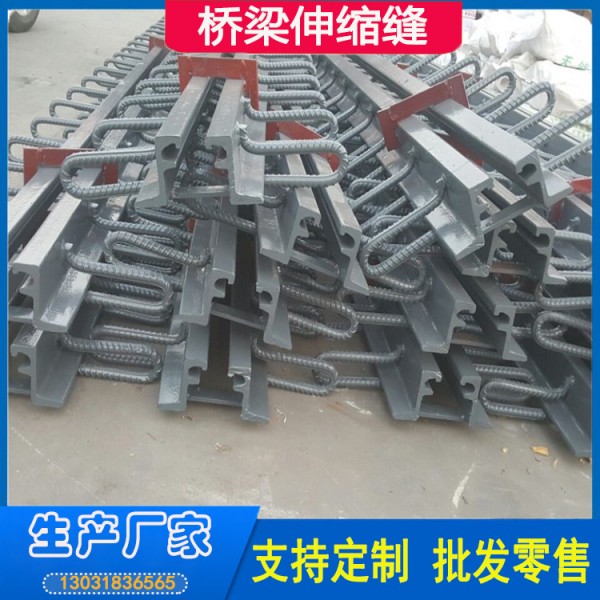 桥梁伸缩缝F型 (12)