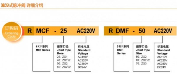 RYZDH淹没式脉冲阀 