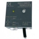 RECHNER SENSOR 电容评估器系列