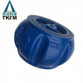 泰流科技（TKFM）手动软密封铸铁对夹止回阀H71X-10/16Q